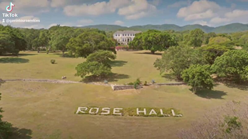 Luminous Lagoon and Rose Hall Great House Night Tour - The Sum Up