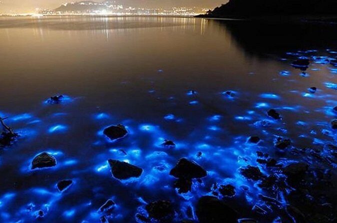 Luminous Lagoon - Frequently Asked Questions