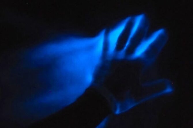 Luminous Lagoon From Montego Bay - Nighttime Spectacle