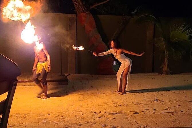 Luminous Lagoon (Glistening Waters) Night Tour - Final Thoughts: Is This Tour Worth It?