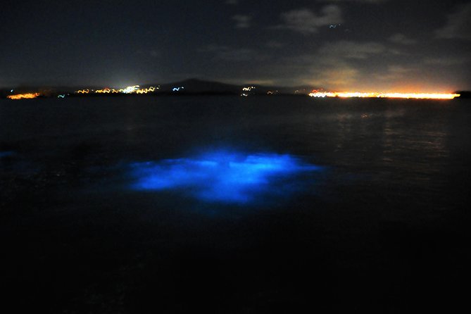 Luminous Lagoon "Glistening Waters" Tour From Falmouth - Bioluminescence Experience