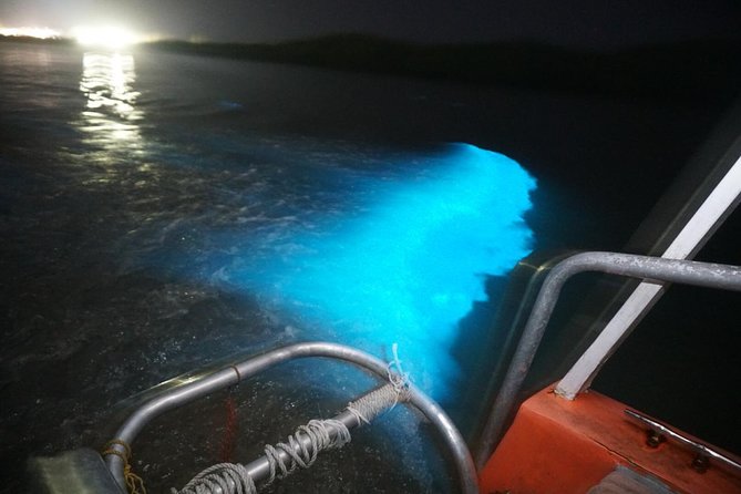 Luminous Lagoon "Glistening Waters" Tour From Grand Palladium Resorts - Traveler Photos