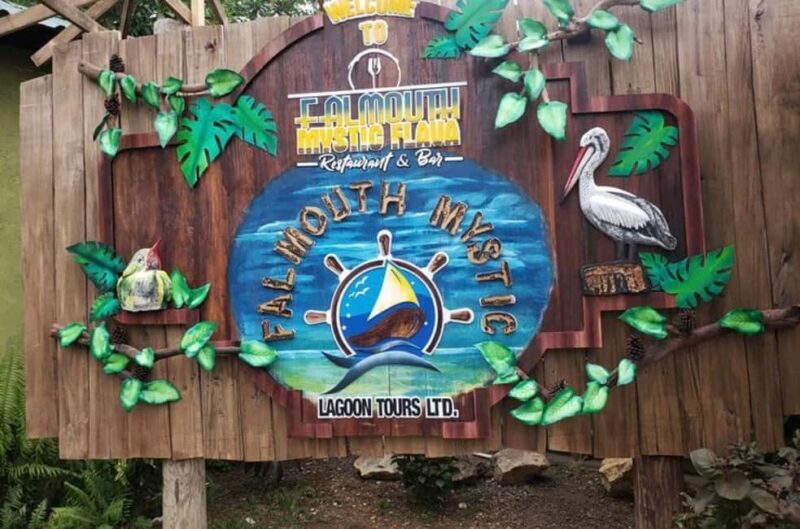 Luminous Lagoon Glistening Waters Tour - Authentic Feedback and Tips from Reviewers