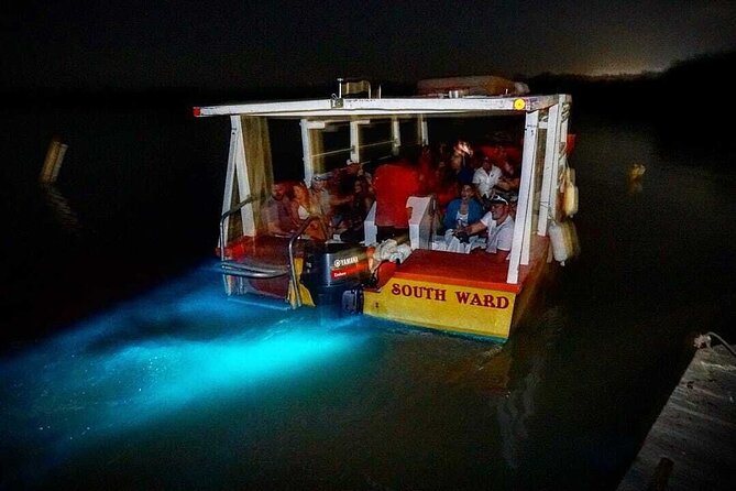 Luminous Lagoon Magical Tour - Inclusions and Highlights