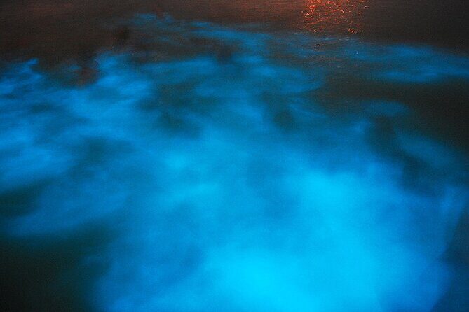 Luminous Lagoon Night Cruise From Montego Bay - The Itinerary in Detail