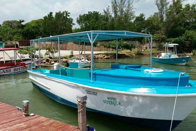 Luminous Lagoon Night-Time Tour From Montego Bay - Traveler Photos