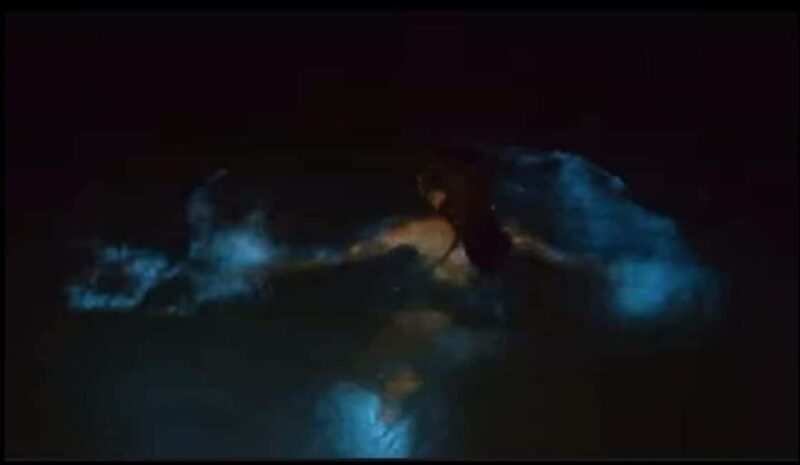 Luminous lagoon: Night Tour from Falmouth Hotels and Villas - Overview of the Experience