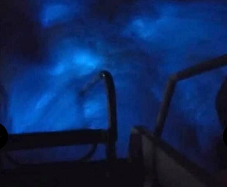 Luminous lagoon: Night Tour from Falmouth Hotels and Villas - Practical Considerations