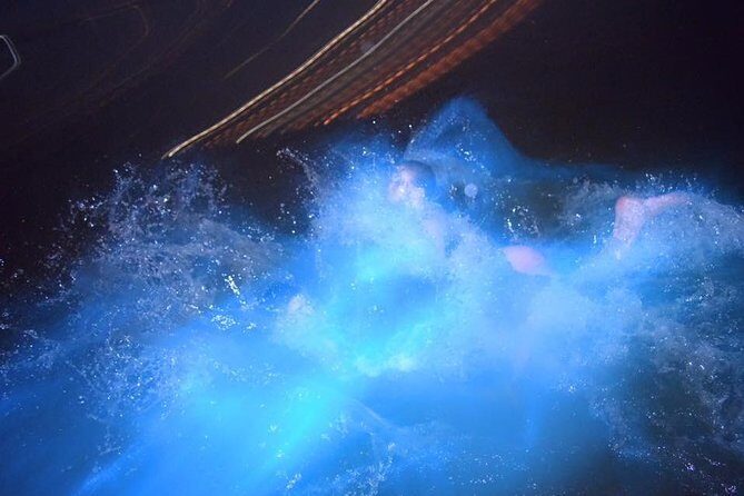 Luminous Lagoon Night Tour from Montego Bay - An In-Depth Look at the Luminous Lagoon Night Tour