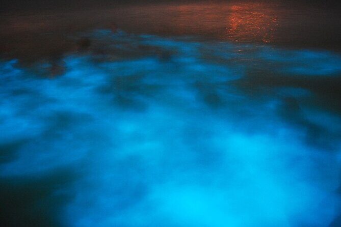 Luminous Lagoon Night Tour from Montego Bay - The Itinerary Breakdown: What to Expect