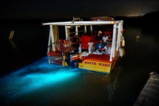 Luminous Lagoon Night Tour from Montego Bay - Is It Worth the Price?