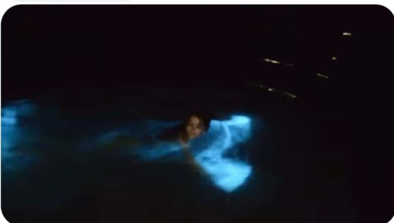 Luminous lagoon : Night Tour from Ocho Rios and Runaway Bay - Good To Know