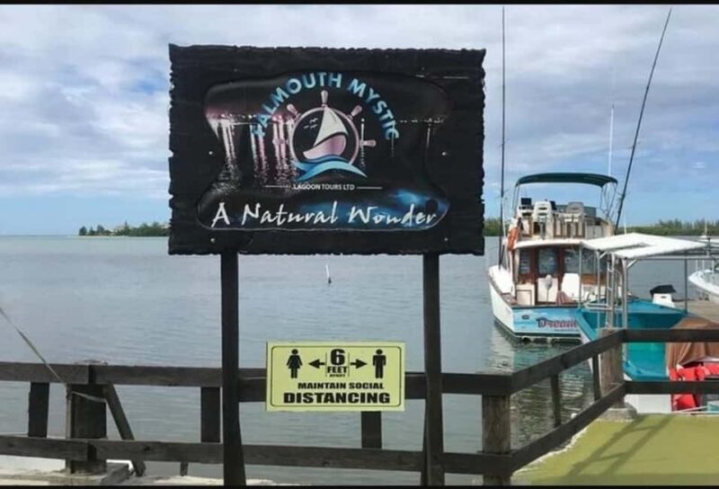 Luminous lagoon : Night Tour from Ocho Rios and Runaway Bay - The Sum Up