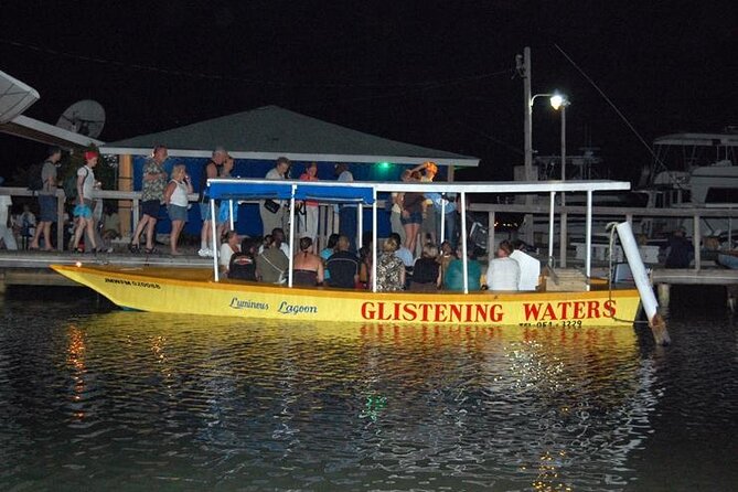 Luminous Lagoon Nighttime Boat Tour From Montego Bay - Tour Overview and Inclusions