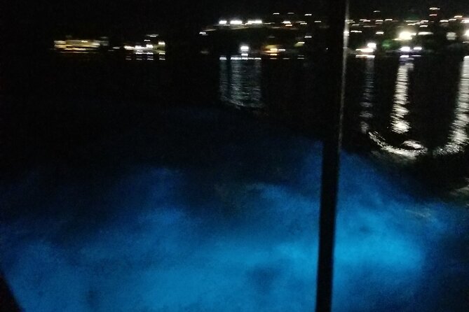 Luminous Lagoon Private Night Tour [ All Fees Included ] - Pricing Details