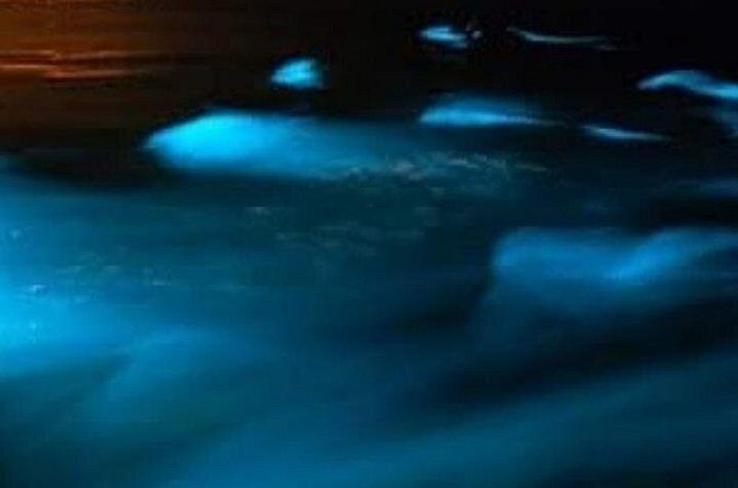 Luminous Lagoon Private Night Tour From Negril - Final Thoughts