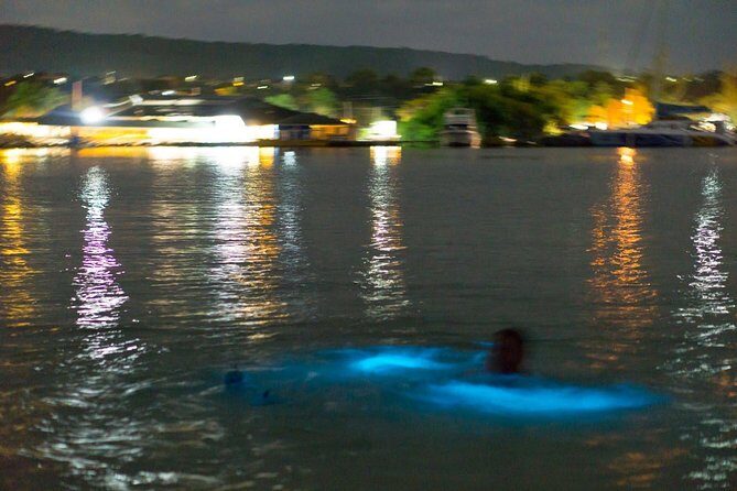 Luminous Lagoon Sightseeing Tour in Montego Bay - Good To Know