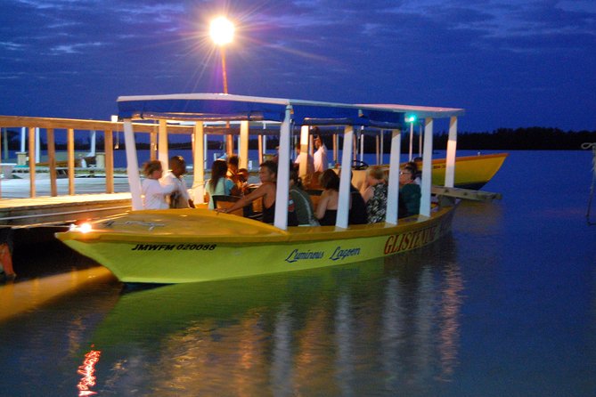 Luminous Lagoon Small Group Tour From Montego Bay - Tour Pricing and Inclusions