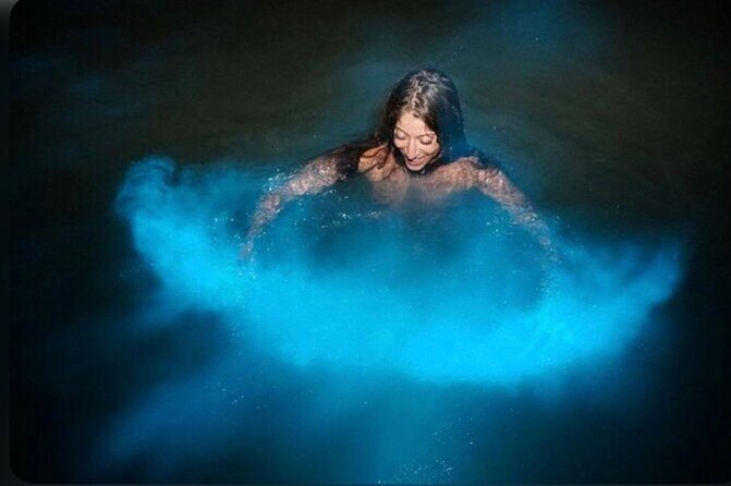 Luminous Lagoon Tour from Montego Bay - What is the Luminous Lagoon?