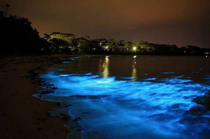 Luminous Mystic Blue Lagoon Cruise From Montego Bay - Booking Details