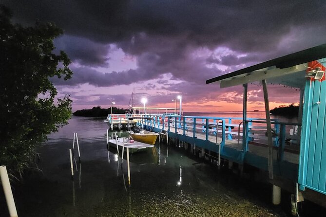 Luminous One Puerto Rico- Bio Bay Boat Ride With Swimming - Experience Details