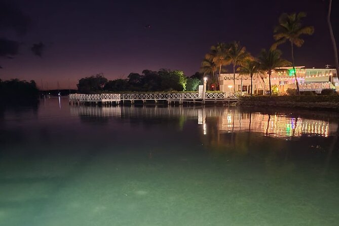 Luminous One Puerto Rico- Bio Bay Boat Ride With Swimming - Inclusions