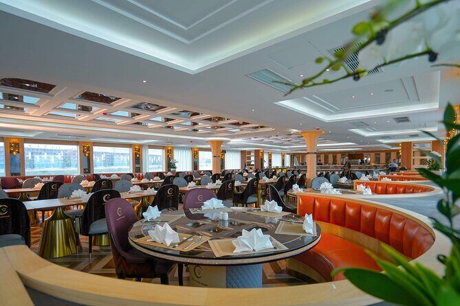 Luna Halong Bay 5 Star Luxury Day Cruise in Pool and Buffet Lunch - A Closer Look at the Luna Halong Bay Experience
