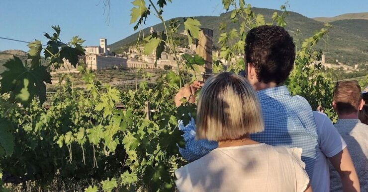 Lunch and Tasting 5 Wines + Walk in the Panoramic Vineyards - Lunch and Wine Offering