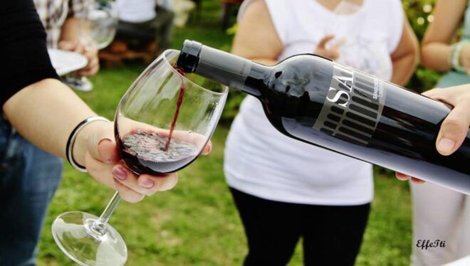 Lunch and Tasting 5 Wines + Walk in the Panoramic Vineyards - Inclusions