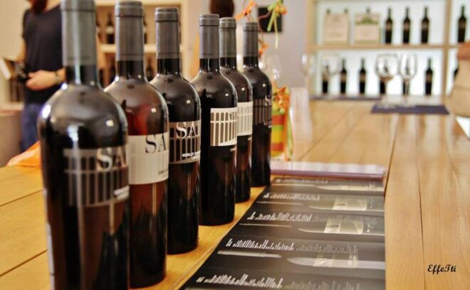 Lunch and Tasting 5 Wines + Walk in the Panoramic Vineyards - Customer Reviews