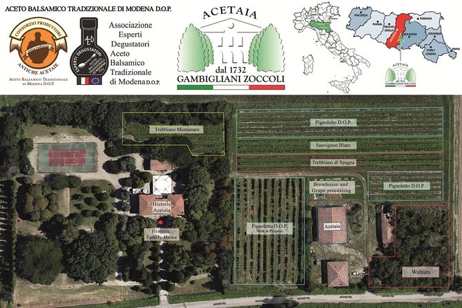 Lunch and Tasting of Traditional Balsamic Vinegar of Modena - Lunch Menu and Culinary Delights
