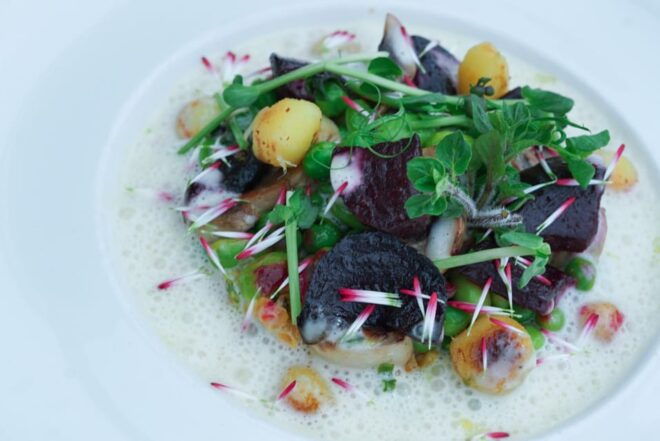 Lunch Cruise, Lake Annecy, Emerald Menu (Vegetarian) - Scenic Views of Lake Annecy