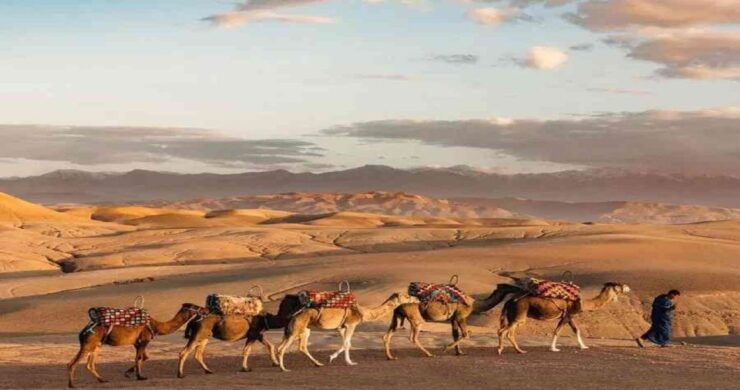 Lunch in Agafay Desert With Camel Ride - Booking Details