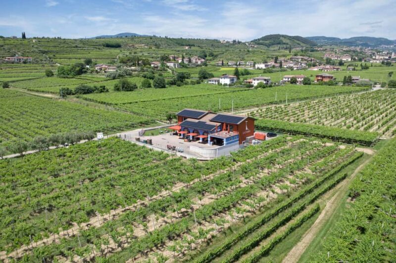 LUNCH IN VERONA: LIGHT LUNCH AMONG THE VINEYARDS AND IN THE WINERY - Why This Tour Offers Great Value