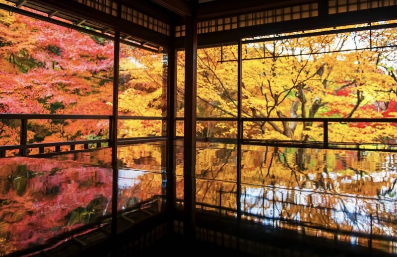 (Lunch included) Kyushu Autumn/Winter Limited One-Day Tour: Fukuoka Mifuneyama Rakuen Autumn Leaves Festival-Yutoku Inari Shrine Autumn Maple Viewing or Saga Strawberry Picking Experience - Two Routes Available - What the autumn package offers