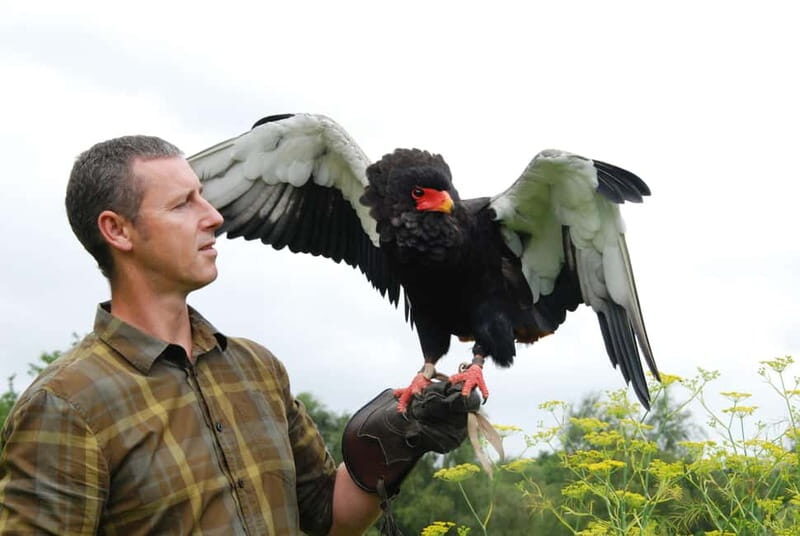 Lunch & Nature experience at Cumberland Bird of Prey Centre - Who Is This Tour Best For?