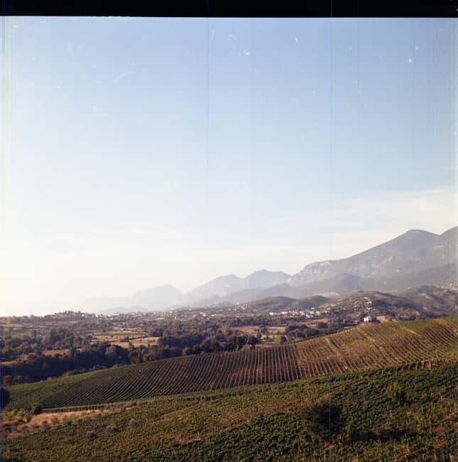 Lundër: Lundra Winery Guided Tour with Wine Tasting - Good To Know