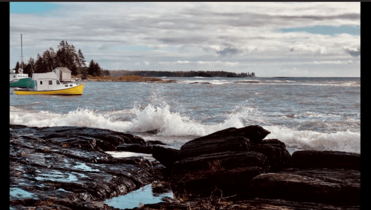 Lunenburg/Blue Rocks Excursions - Itinerary & Experience