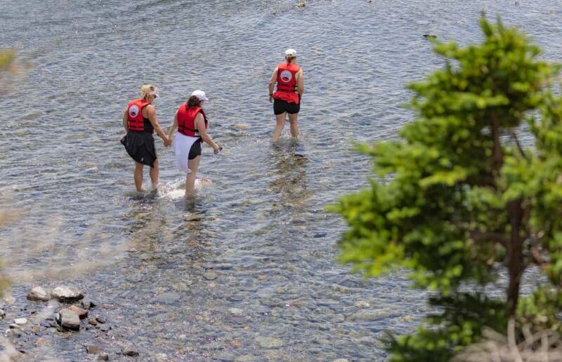 Lunenburg: Zodiac Wildlife Tour with Naturalist Guide - Good To Know