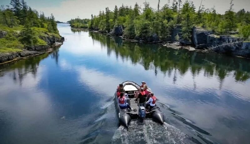 Lunenburg: Zodiac Wildlife Tour with Naturalist Guide - The Real Value of This Experience