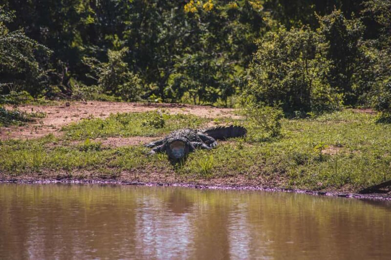 Lunugamwehera National Park (Yala block 5/6) Safari Tour - An in-depth look at the Lunugamwehera & Weheragala Safari