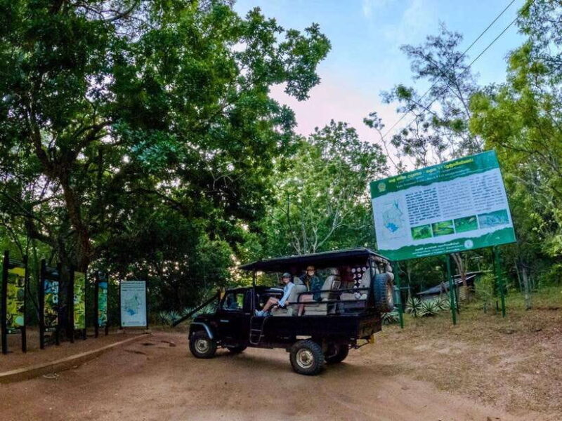 Lunugamwehera NP (Block VI) Morning Safari Game Drive - Practical Details and What You Need to Know