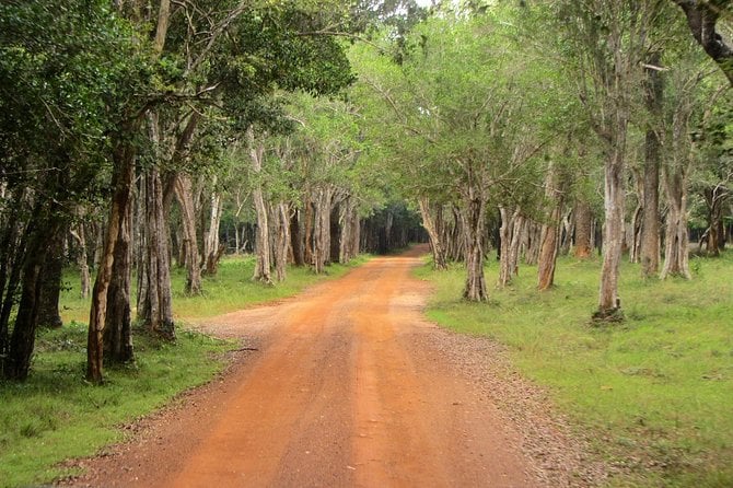 Lunugamwehera (Yala Block 5) Tour - Less Crowded National Park - Wildlife Encounters