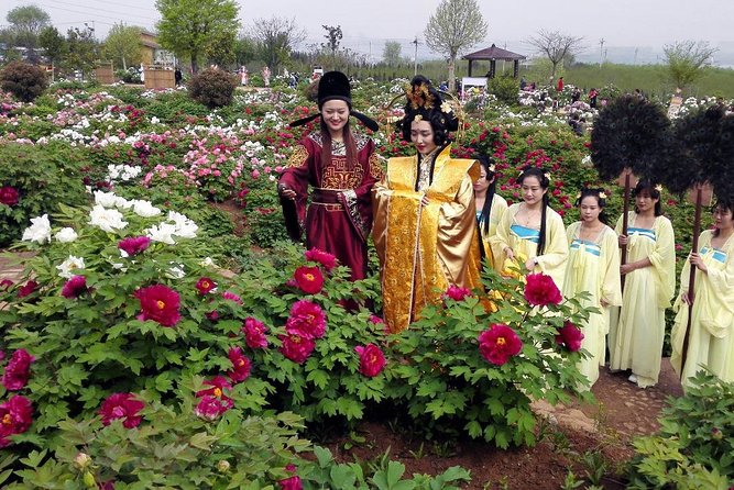Luoyang Private Tour to Longmen Grottoes and Peony Blossom Sightseeing - Frequently Asked Questions