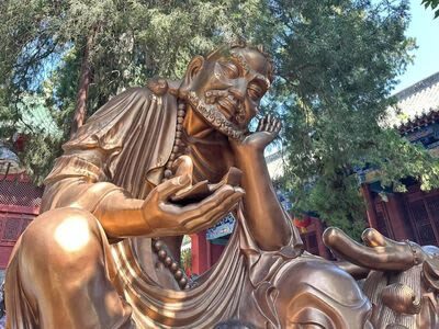 Luoyang Shaolin Temple Group Tour 1-Day Trip - The temple and Pagoda Forest