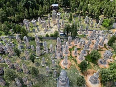 Luoyang Shaolin Temple Group Tour 1-Day Trip - Who should book this tour?