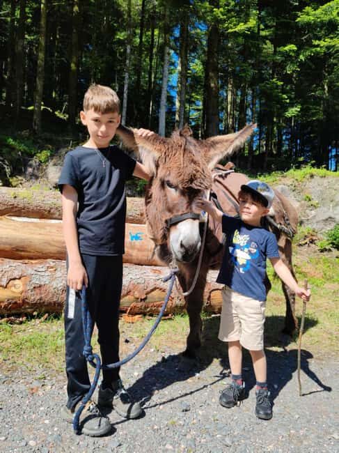 Luvigny: Donkey discovery walk - Good To Know