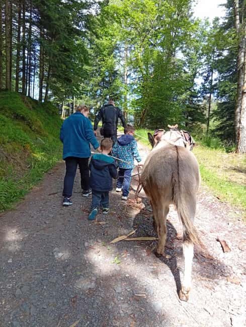Luvigny: Donkey discovery walk - What You Can Expect on the Tour