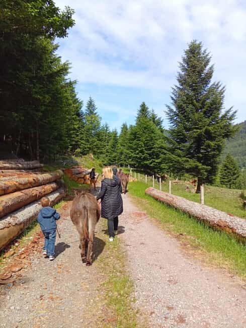 Luvigny: Donkey discovery walk - Final Thoughts