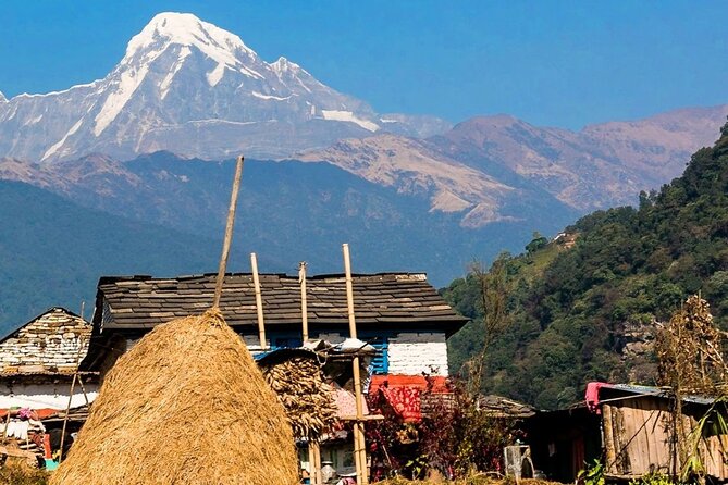 Luwang Village Home Stay Easy Trek With Tea Garden Visit - Local Cuisine and Cultural Experience